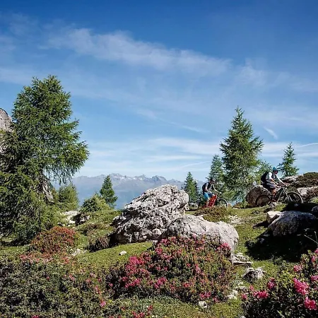 Vakantiehuis Alpine Classic-formerly Tui *